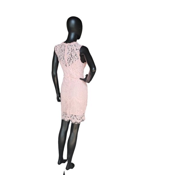 Pink Lace Illusion Sheath Dress - Picture 5 of 8